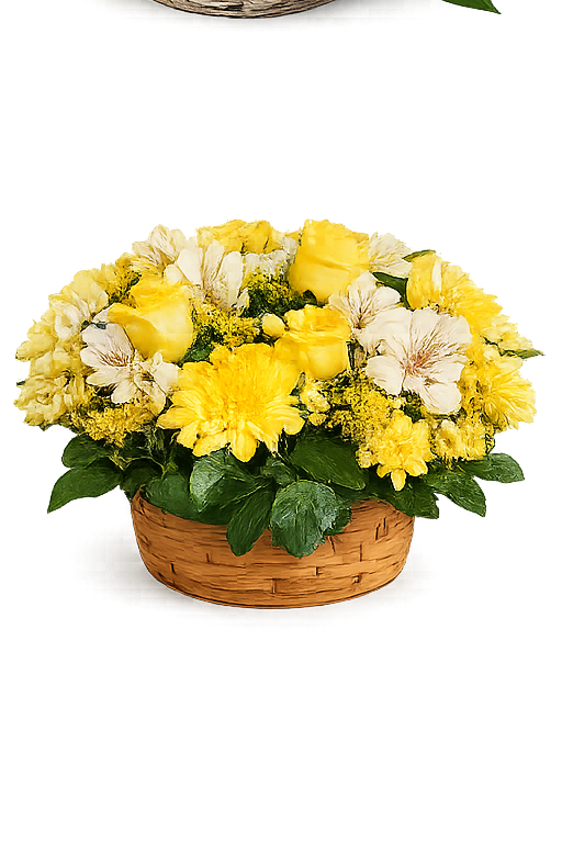 Dia Flowers